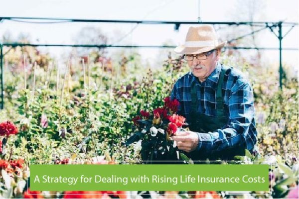 older man gardening in the summer